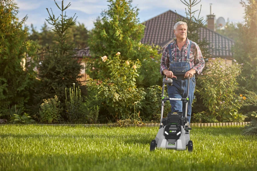 what is the best lawn mower to buy