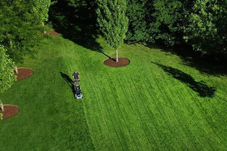 small electric lawnmowers